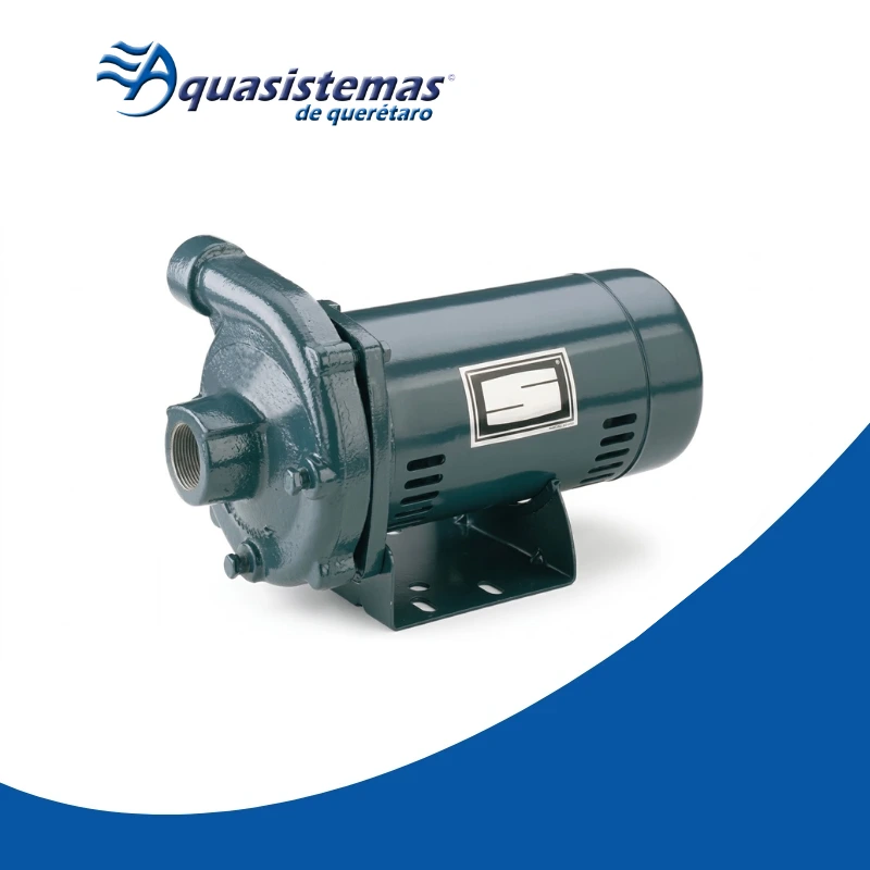 Bomba de piscina Sta-Rite JHG-52HL de color gris, cuerpo cilíndrico con base de montaje, diseñada para circulación y filtración de agua en sistemas hidráulicos de albercas