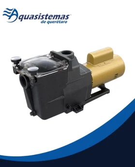 Motobomba clásica Hayward Super Pump para circulación de agua en albercas