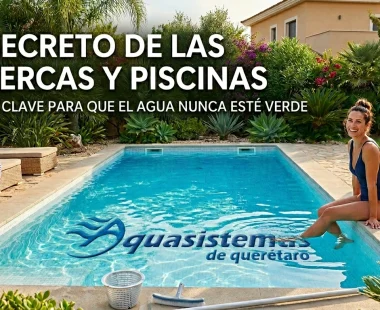El secreto de las albercas y piscinas: 5 pasos clave para que el agua nunca esté verde