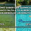 Comparativa de alberca sucia con agua verde frente a piscina limpia con agua cristalina tras el uso de químicos de mantenimiento de Aquasistemas de Querétaro.