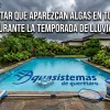 Alberca cristalina en un día lluvioso con herramientas de mantenimiento, químicos y el logo de Aquasistemas de Querétaro grabado en el fondo.