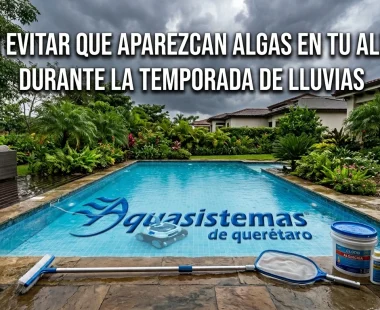 Cómo evitar que aparezcan algas en tu alberca durante la temporada de lluvias Cómo evitar que aparezcan algas en tu alberca durante la temporada de lluvias