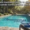 Vista de alta calidad de una piscina residencial rodeada de un exuberante bosque, con el título "Cómo mantener limpia tu alberca cuando tienes árboles cerca" superpuesto en la parte superior. El borde de la piscina muestra algunas hojas caídas y en primer plano hay herramientas de limpieza de piscinas (red y cepillo) sobre un camastro.